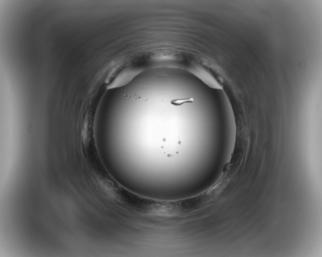 X0000087520074200704271148