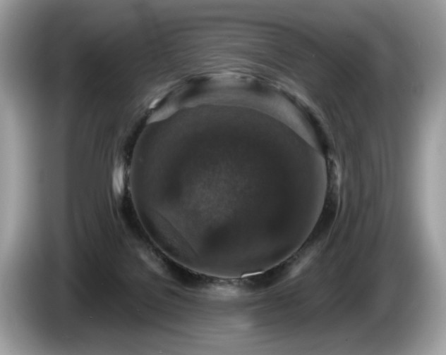 X0000087520076200704271148