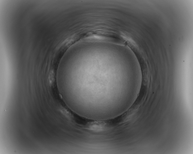 X0000087520077200704271148