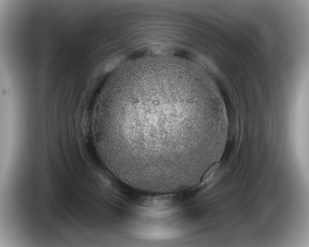 X0000087520078200704271148