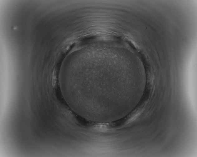 X0000087520080200704271148