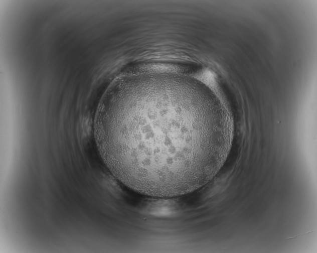 X0000087520081200704271148
