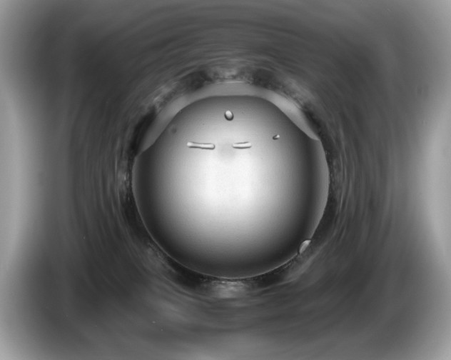X0000087520085200704271148