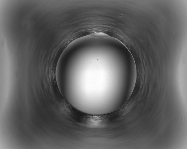X0000087520091200704271148