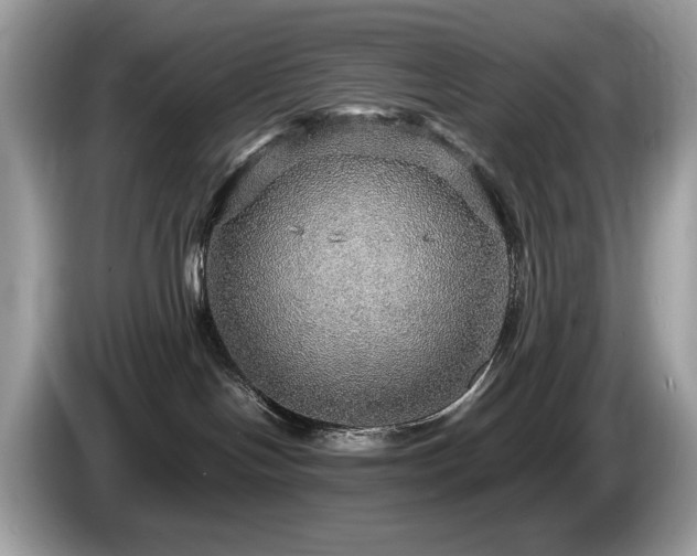 X0000087520094200704271148