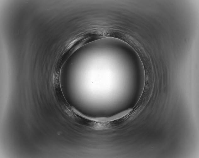 X0000087520096200704271148
