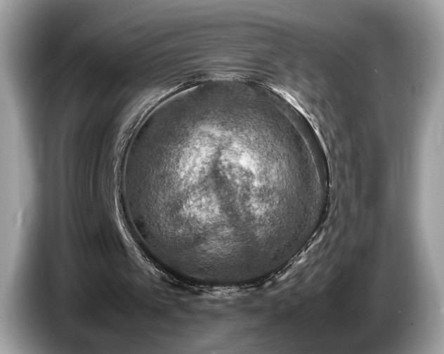 X0000087520097200704271147