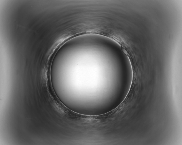 X0000087520098200704271147