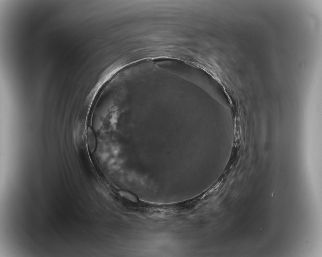 X0000087520099200704271147