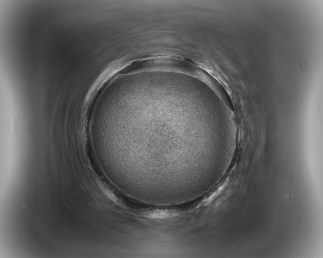 X0000087520101200704271147