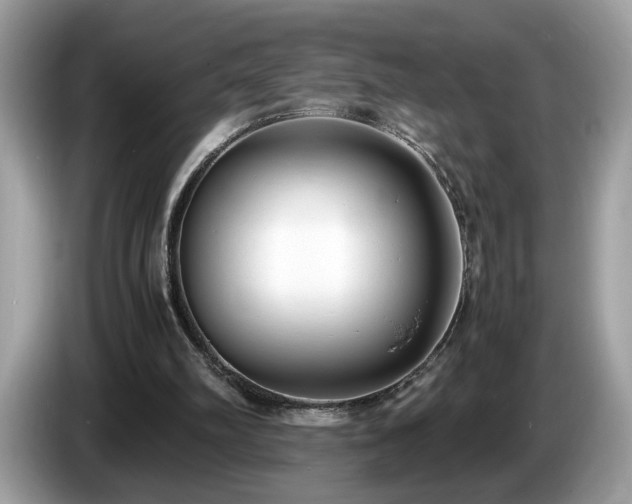 X0000087520102200704271147