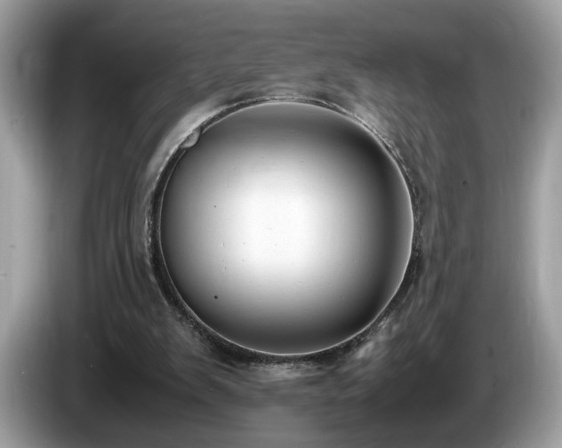 X0000087520103200704271147