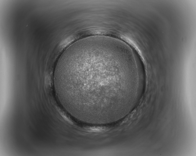 X0000087520105200704271147