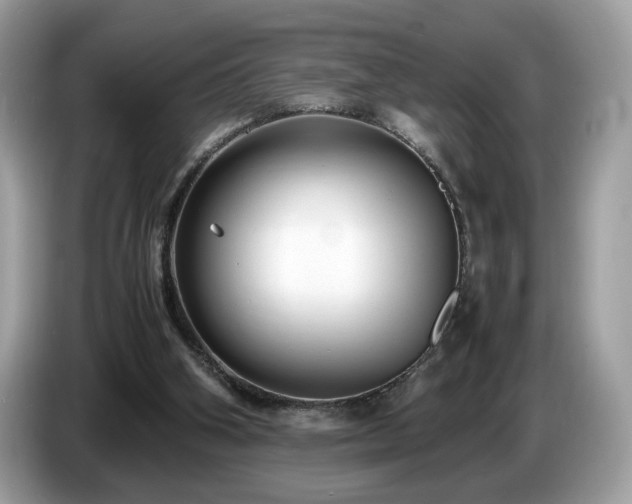 X0000087520106200704271147