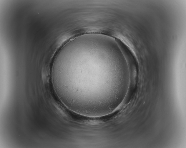 X0000087520107200704271147