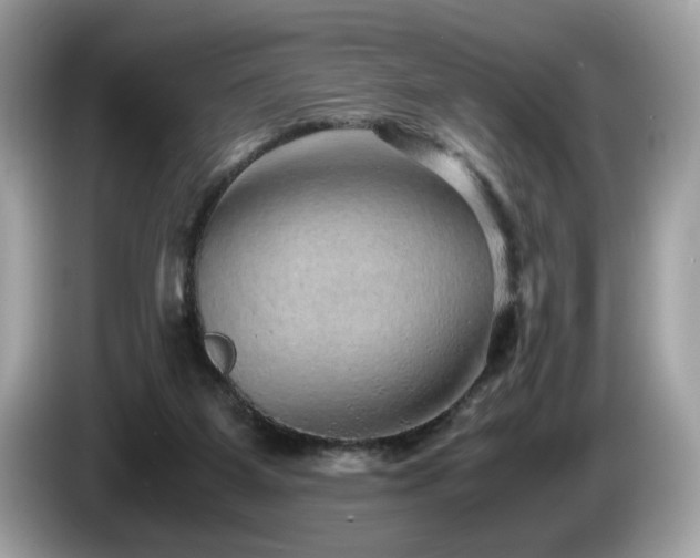 X0000087520115200704271147