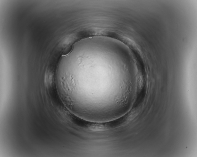 X0000087520123200704271147