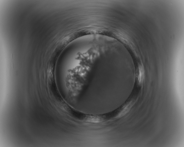 X0000087520127200704271147