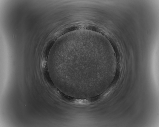 X0000087520137200704271147