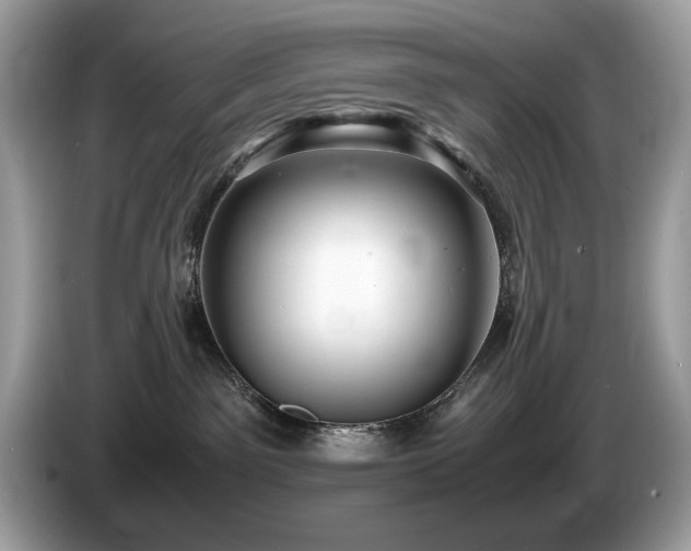 X0000087520141200704271147