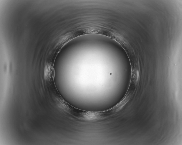 X0000087520142200704271147