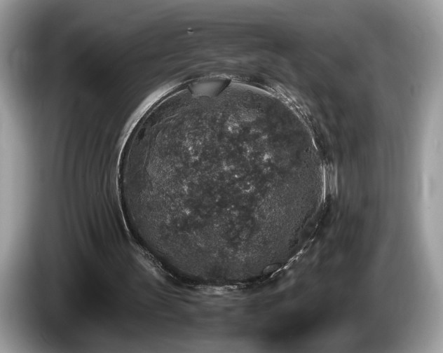 X0000087520147200704271146