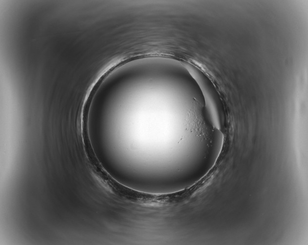X0000087520148200704271146