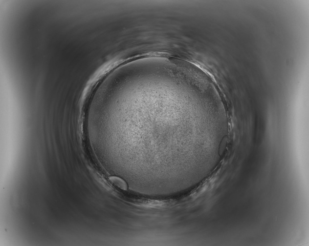 X0000087520149200704271146