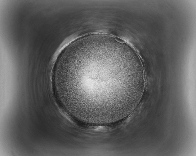 X0000087520151200704271146