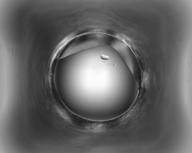 X0000087520152200704271146
