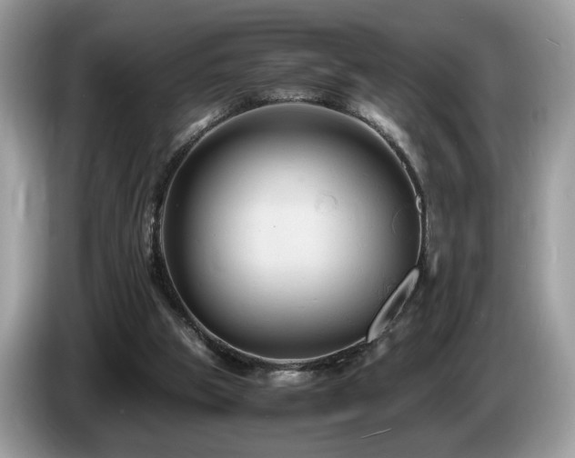 X0000087520153200704271146