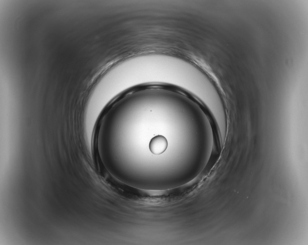 X0000087520154200704271146