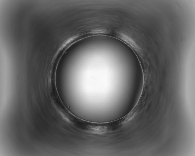 X0000087520155200704271146