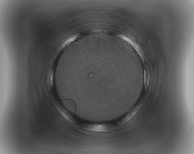 X0000087520157200704271146