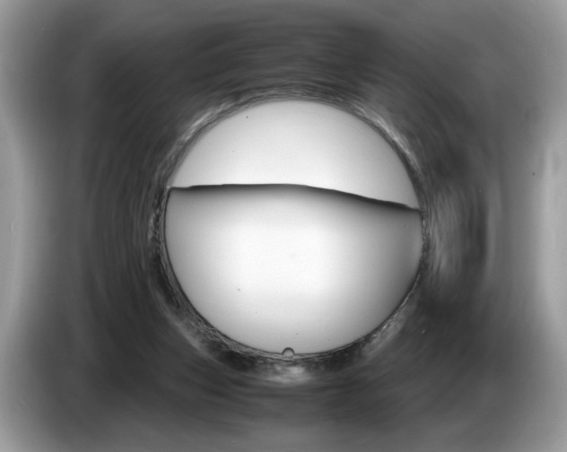 X0000087520159200704271146