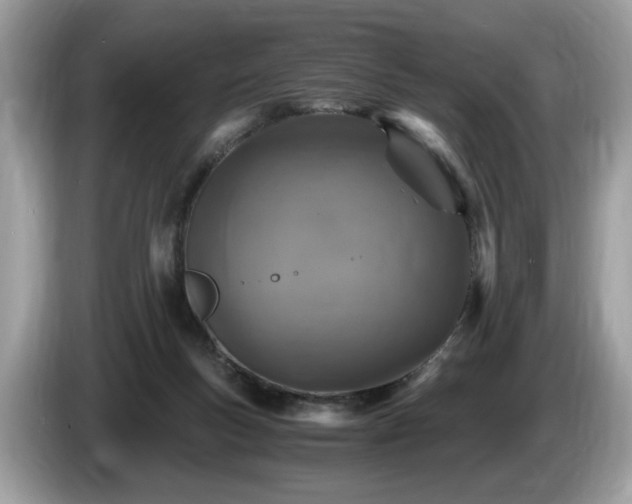 X0000087520167200704271147