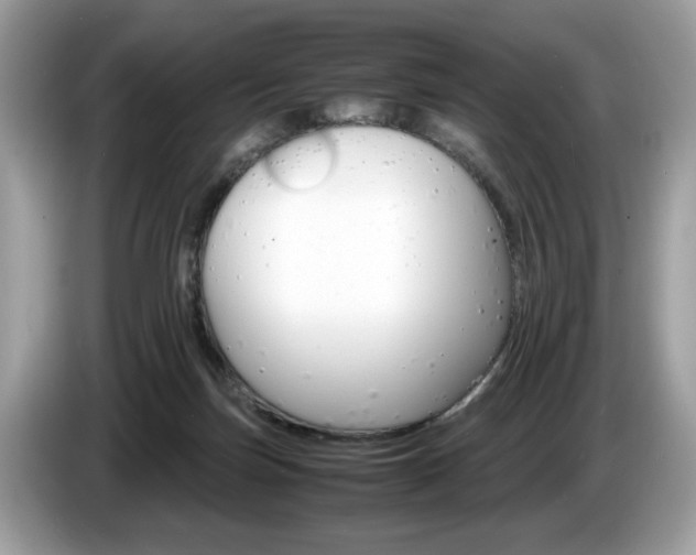 X0000087520171200704271147