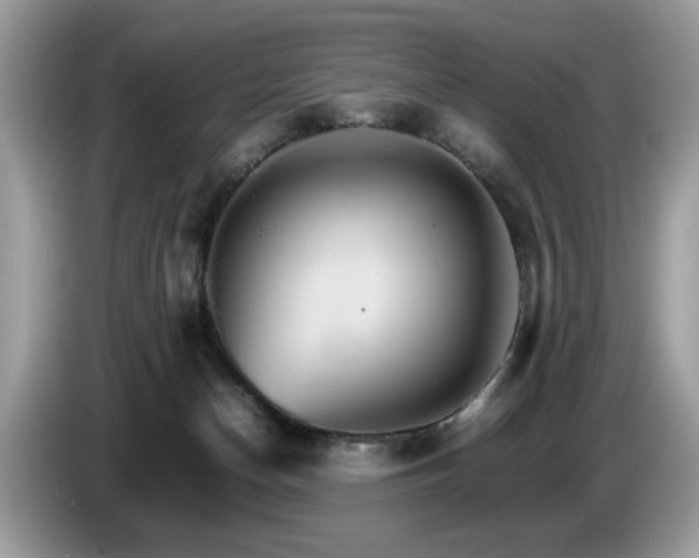 X0000087520174200704271147