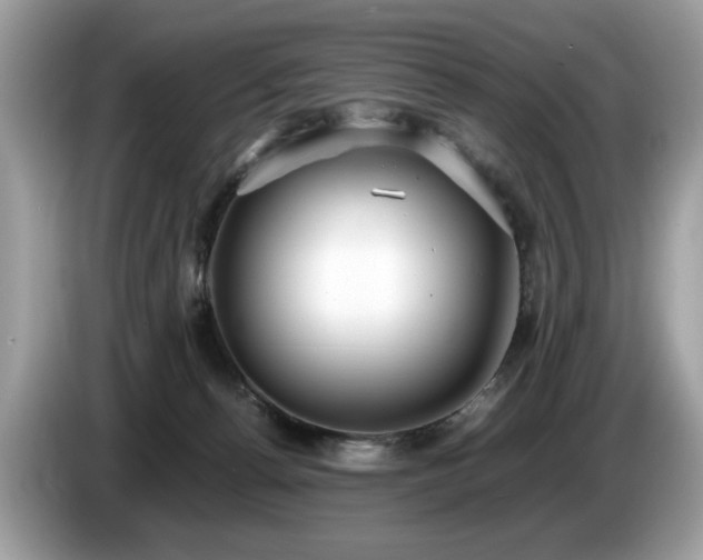 X0000087520176200704271147