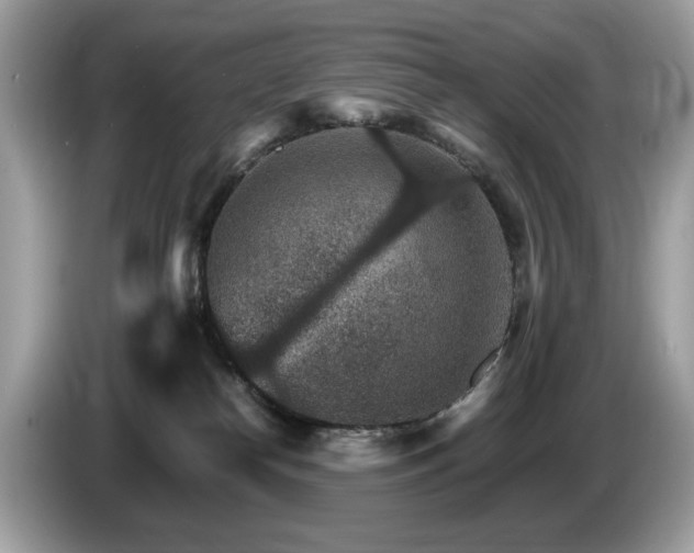 X0000087520182200704271147