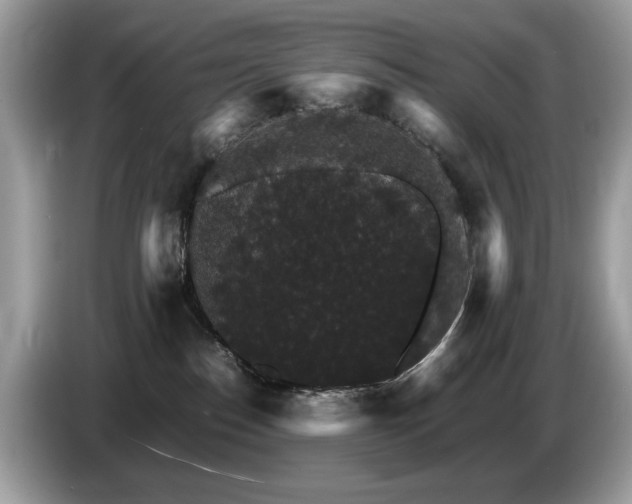 X0000087520186200704271147