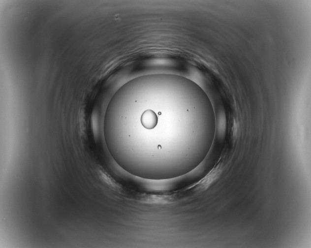 X0000087520188200704271147