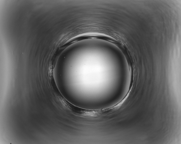 X0000087520190200704271147