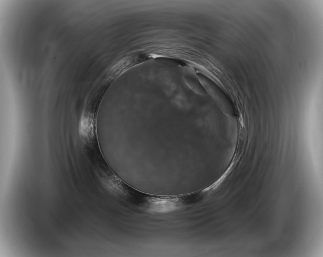 X0000087520191200704271147