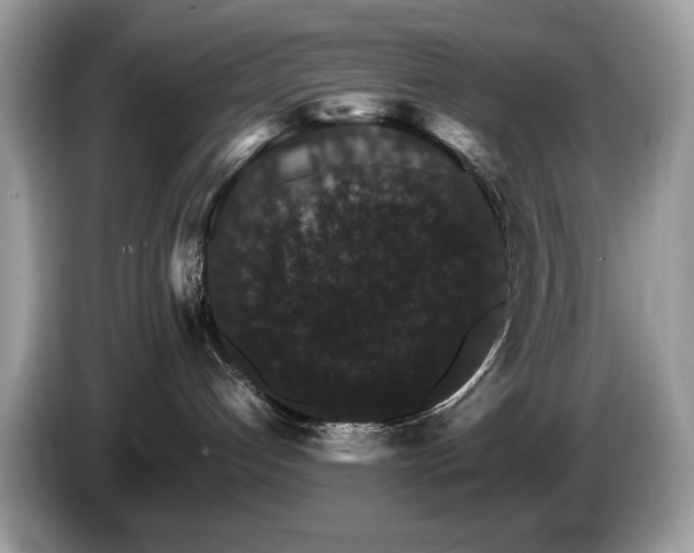 X0000087520192200704271147