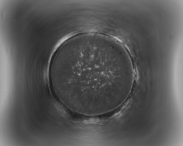 X0000087520196200704271146