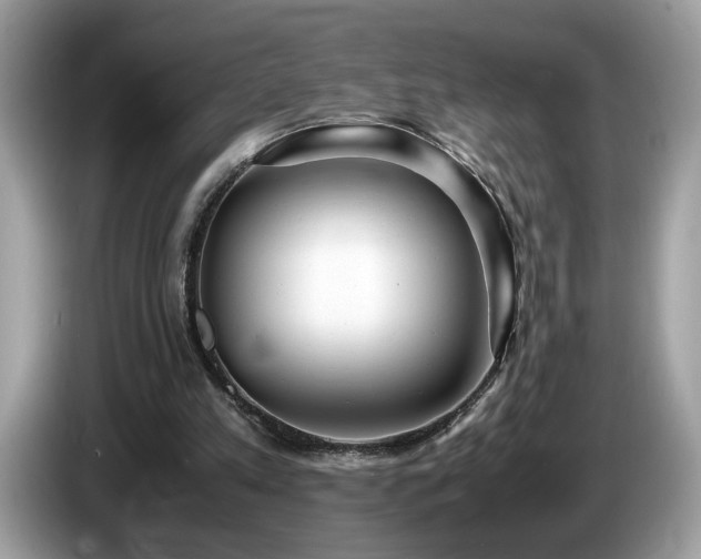 X0000087520197200704271146