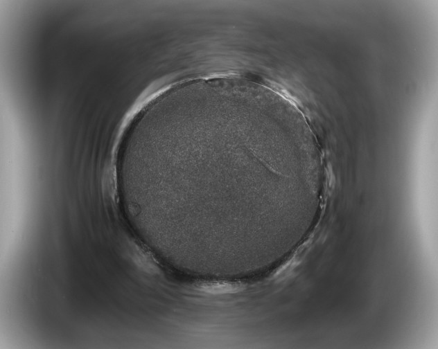 X0000087520198200704271146