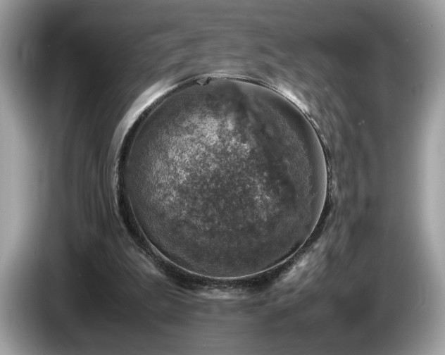 X0000087520199200704271146