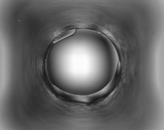 X0000087520201200704271146